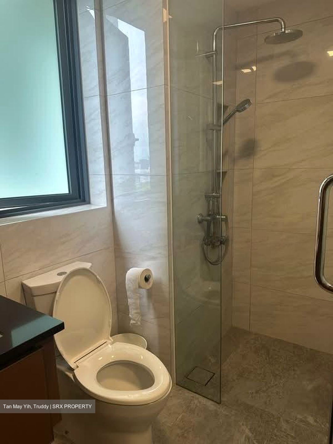 Normanton Park (D5), Apartment #557971091